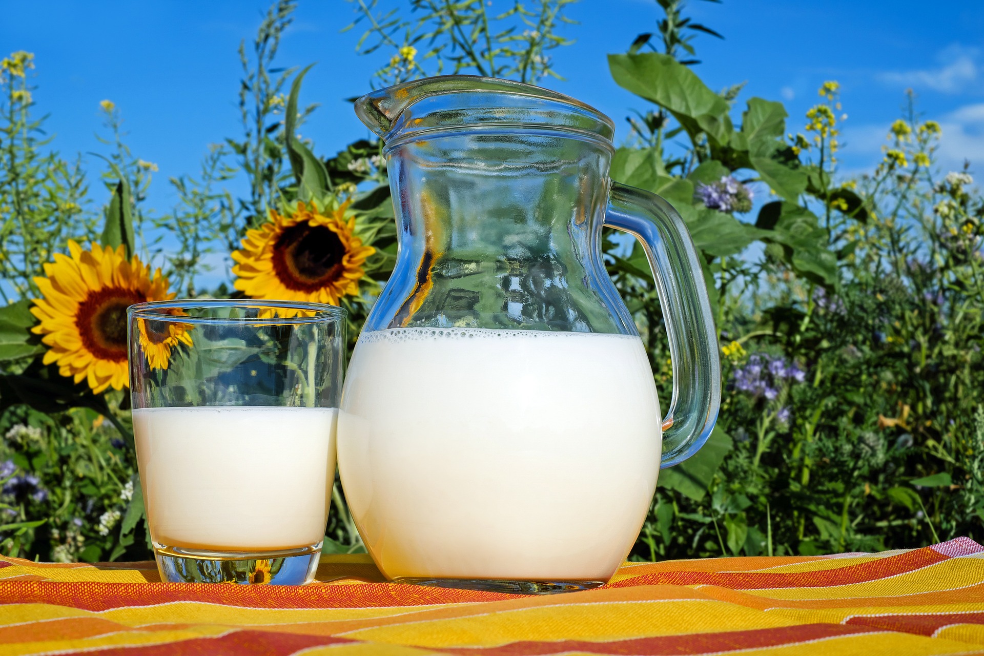 milk-g37e254dcb_1920